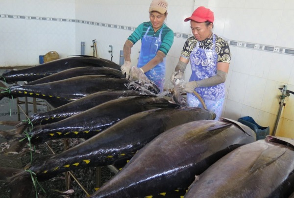 Các loại hải sản biển ngon, nổi tiếng ở Việt Nam không nên bỏ lỡ